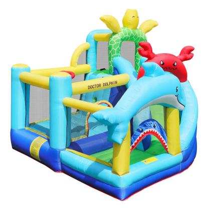 Doctor Dolphin Sea Animals hoppeborg