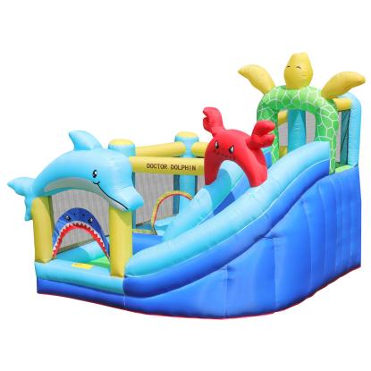 Doctor Dolphin Sea Animals hoppeborg